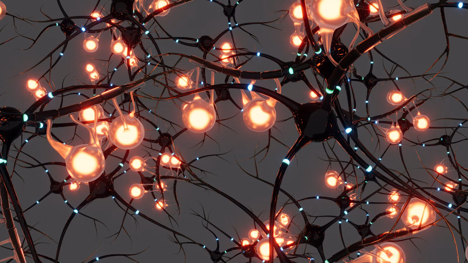 Neural network representing machine learning models that reduce false positives
